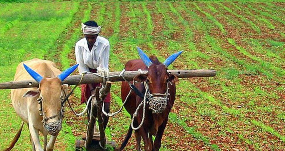 Hindistan'da Tarım ve Borsa İlişkisi