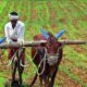 Hindistan'da Tarım ve Borsa İlişkisi